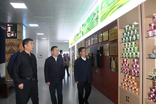 國家、省、市鄉(xiāng)村振興局等**一行蒞臨麗星公司進行調(diào)研工作